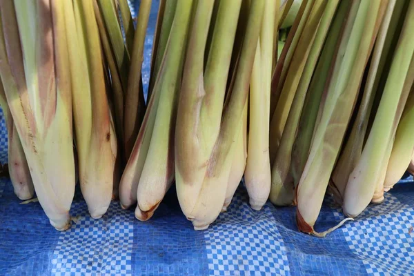 Lemongrass Trhu — Stock fotografie