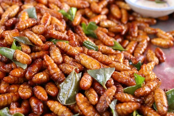 Gebakken Insect Straat Eten — Stockfoto