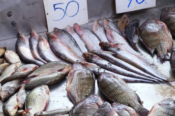 Pesce Fresco Sul Mercato — Foto Stock