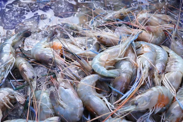 Fresh Shrimp Street Food — Stock Photo, Image