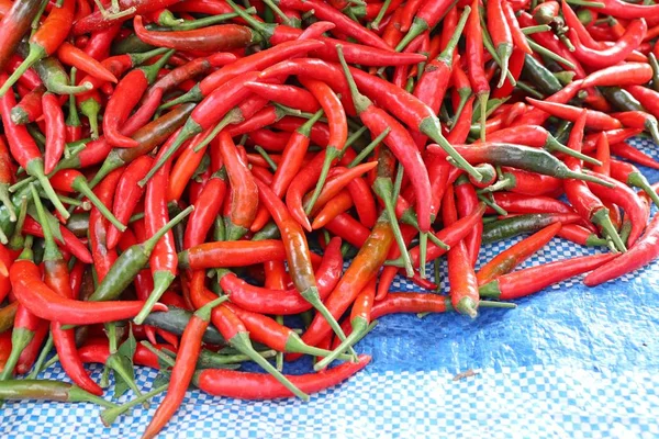 Frisches Chili Auf Dem Markt — Stockfoto