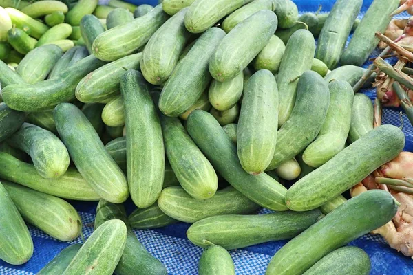 Pepino Comida Callejera — Foto de Stock