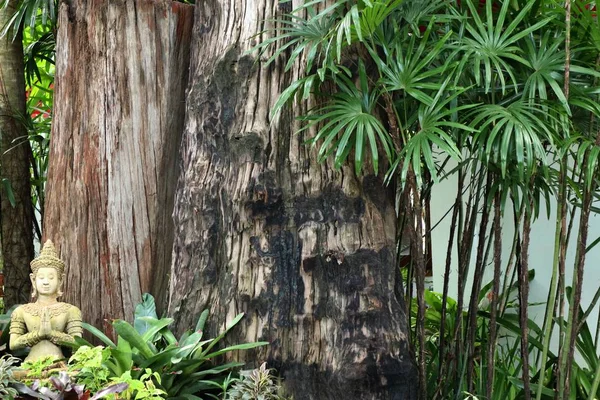 Arbre Vert Décoration Jardin — Photo