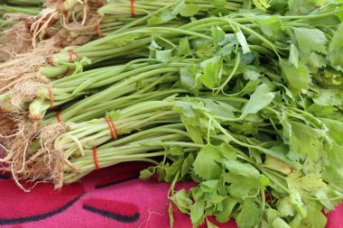 Kereviz sebze Market