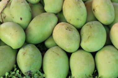 sokak gıda ham mango