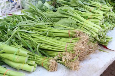 Sebze piyasada satan dükkanlar