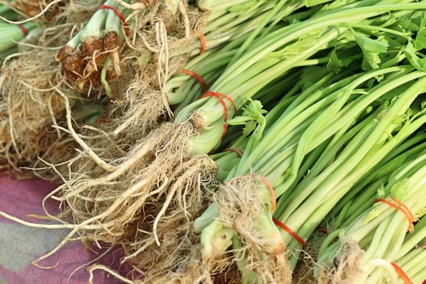 Celery Vegetables Market — Stock Photo, Image