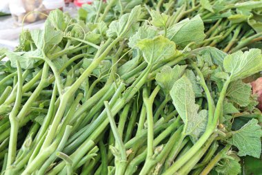 Piyasalarda chayoted yaprakları