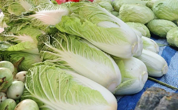 市場で白菜 — ストック写真