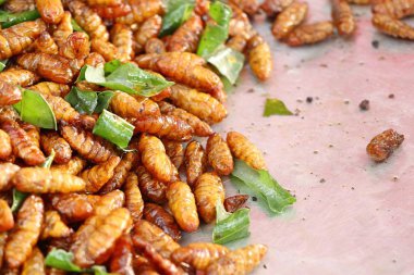 Fried böcek sokak gıda