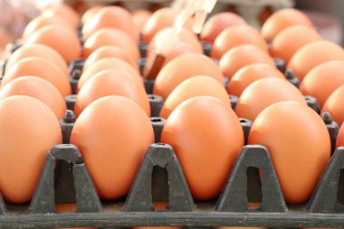 kahverengi yumurta içinde belgili tanımlık çarşı