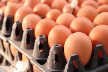 kahverengi yumurta içinde belgili tanımlık çarşı