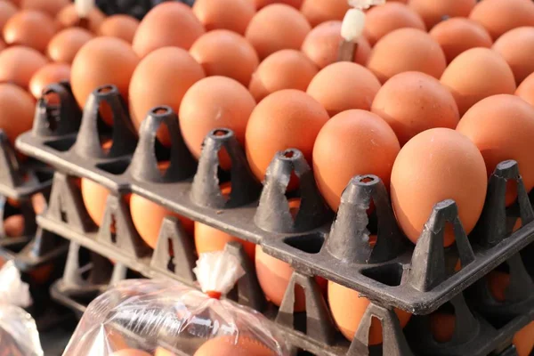 Huevo Integral Mercado —  Fotos de Stock