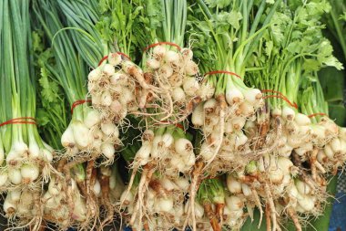 taze soğan ve kişniş Market