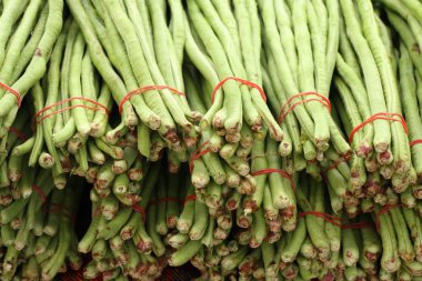 Pazar uzun fasulye