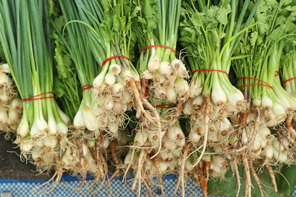 Spring onions and coriander at market