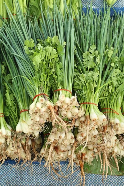 Spring onions and coriander at market