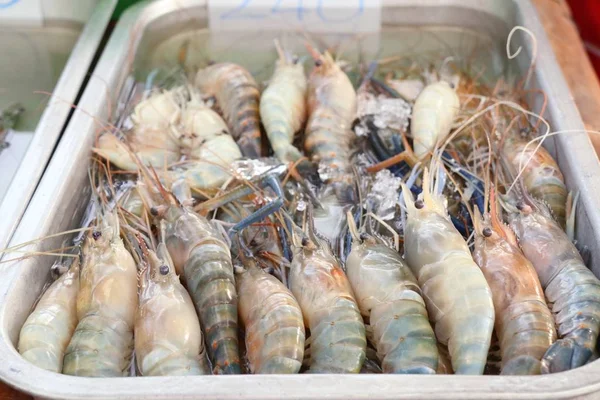 Fresh Shrimp Street Food — Stock Photo, Image