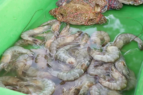 屋台の食べ物で新鮮なエビ — ストック写真