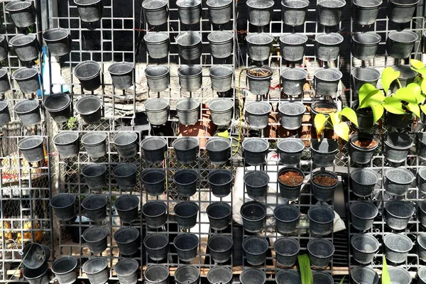 Tienda Plantas Flores Macetas — Foto de Stock