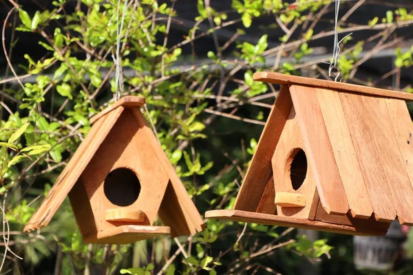 販売のための鳥の家 — ストック写真