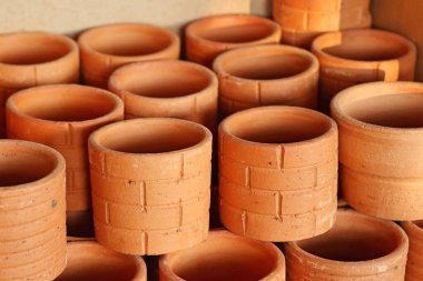 Saksı bitki çiçekçi