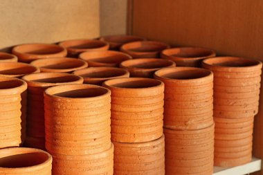 Saksı bitki çiçekçi