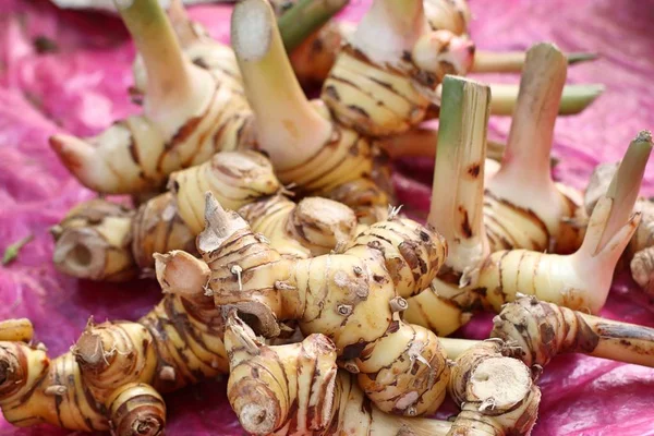 Galangal Market — Stock Photo, Image