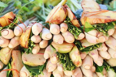 Limon otu ve havlıcan piyasada