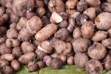 sokak gıda, organik taro