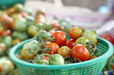 Pazarda taze domates