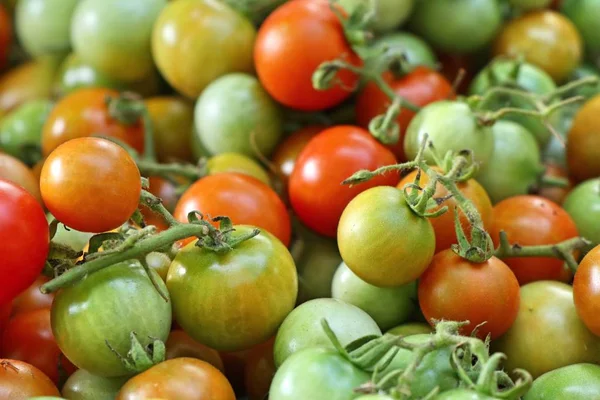 Frische Tomaten Auf Dem Markt — Stockfoto