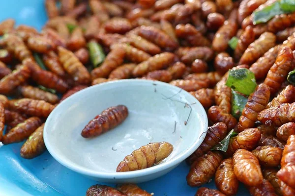 Insecto Frito Comida Callejera — Foto de Stock