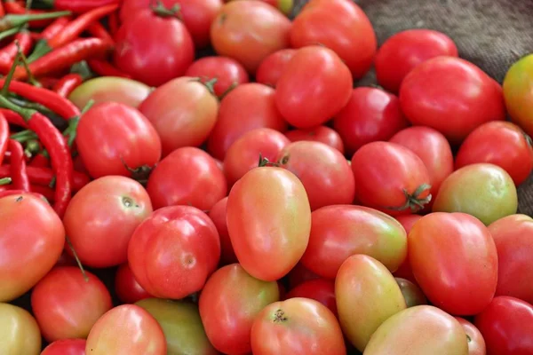 Verse Tomaten Markt — Stockfoto