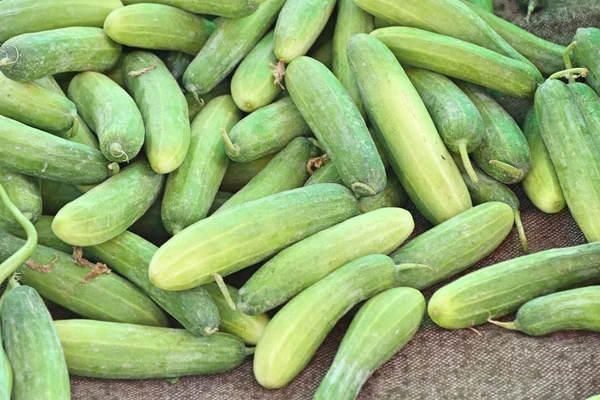 Cucumber Street Food — Stock Photo, Image