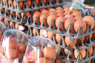 kahverengi yumurta içinde belgili tanımlık çarşı