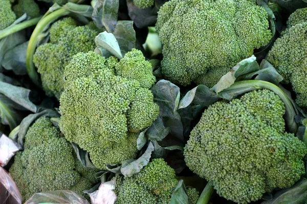 Brocoli Gras Sur Marché Photo De Stock