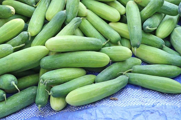 Cucumber Street Food — Stock Photo, Image