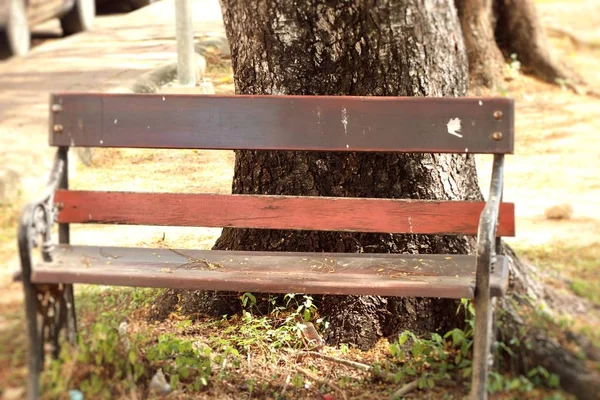 Bench Park — Stock Photo, Image