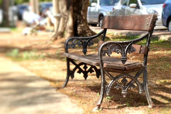 公園のベンチ — ストック写真