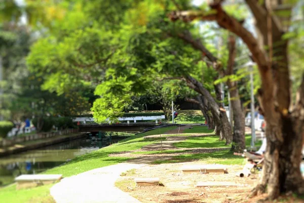 Walkway Park — Stock Photo, Image