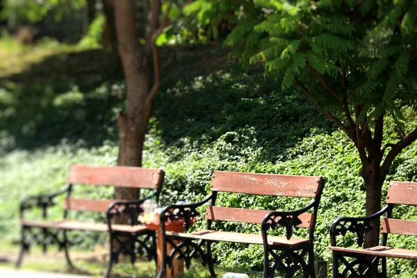 Bänk Parken — Stockfoto