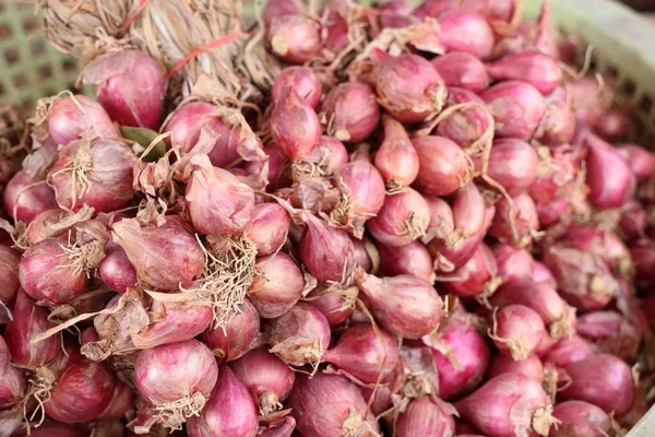 Chalotas Mercado — Fotografia de Stock