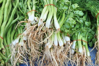 taze soğan ve kişniş Market