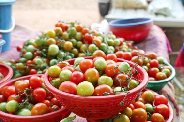 Pazardaki domatesler