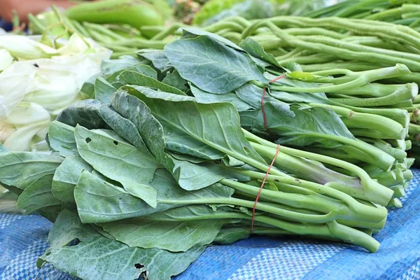 Chou Frisé Marché — Photo