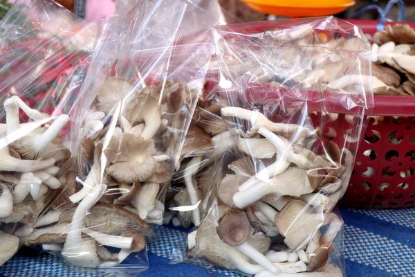 Cogumelos Frescos Comida Rua — Fotografia de Stock