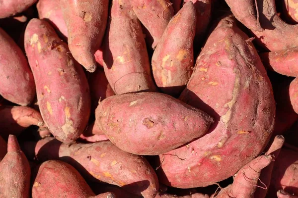Zoete Aardappel Straat Eten — Stockfoto