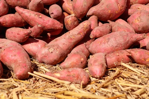 Zoete Aardappel Straat Eten — Stockfoto