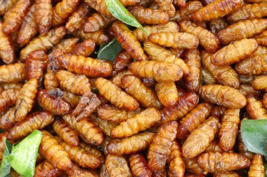 Fried böcek sokak gıda